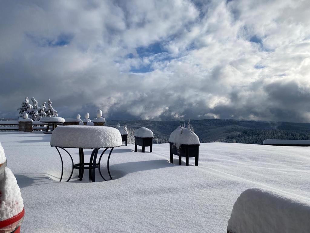 Berghotel Stutenhaus Schmiedefeld am Rennsteig Luaran gambar